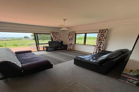 Photo of property in 385 Whakamarama Road, Whakamarama, Tauranga, 3179