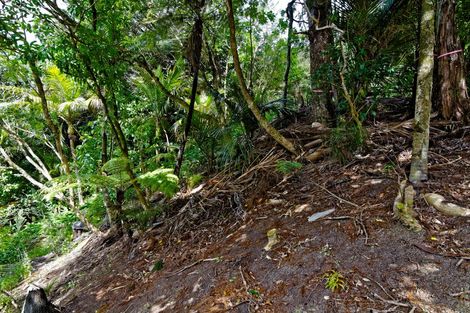 Photo of property in 42 Tanekaha Road, Titirangi, Auckland, 0604