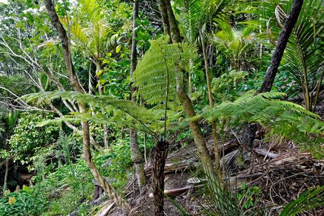 Photo of property in 42 Tanekaha Road, Titirangi, Auckland, 0604