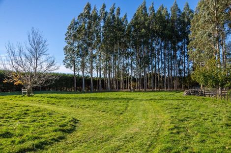 Photo of property in 881a Norfolk Road, Upper Plain, Carterton, 5791