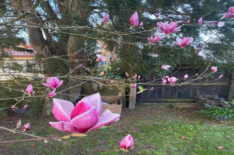 Photo of property in 3/103 Titirangi Road, New Lynn, Auckland, 0600