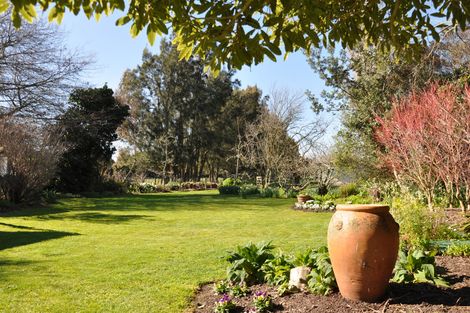 Photo of property in Mod Code 00exb, 117 Te Ngaio Road, Bunnythorpe, Feilding, 4775