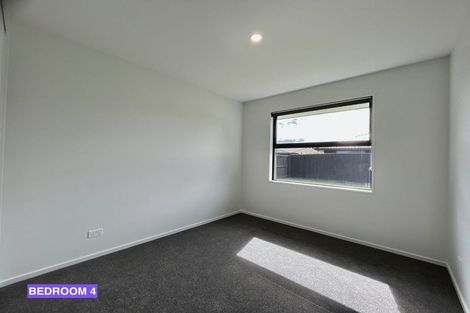 Photo of property in 12 Kildare Street, Belfast, Christchurch, 8051