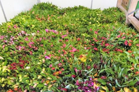 Photo of property in 1066 Egmont Road, Egmont Village, New Plymouth, 4372