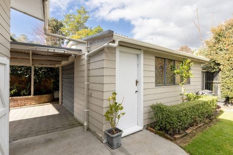 Photo of property in 46b Jonathon Street, Brookfield, Tauranga, 3110