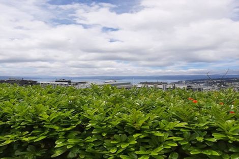 Photo of property in 100 Kelburn Parade, Kelburn, Wellington, 6012