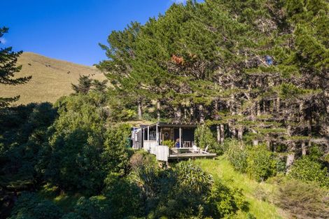 Photo of property in 380 Whaanga Road, Raglan, 3297