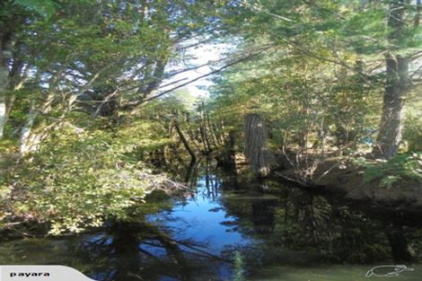 Photo of property in 7332 State Highway 6, Charleston, Cape Foulwind, 7892