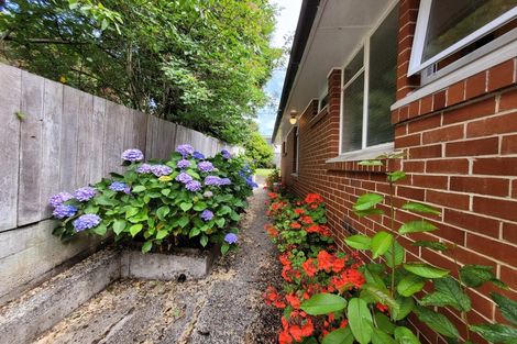 Photo of property in 58 Balmacewen Road, Maori Hill, Dunedin, 9010