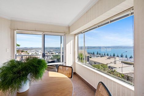 Photo of property in 19 Roslyn Road, Bluff Hill, Napier, 4110