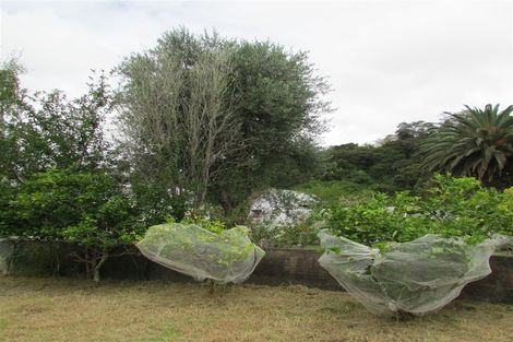 Photo of property in 303 Totara North Road, Totara North, Kaeo, 0479