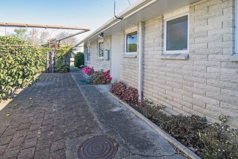 Photo of property in 130a Chapel Street, Masterton, 5810