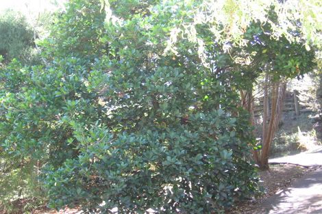 Photo of property in 4/143 Balmain Road, Birkenhead, Auckland, 0626