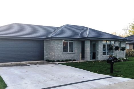 Photo of property in 8a Moore Street, Leamington, Cambridge, 3432