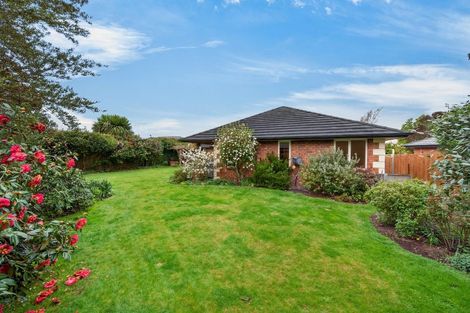 Photo of property in 25 Paget Drive, Woodend, 7610