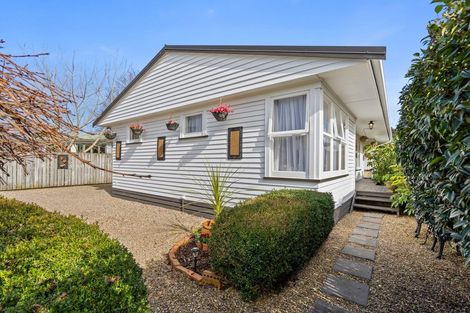 Photo of property in 3 Kings Crescent, Cambridge, 3434