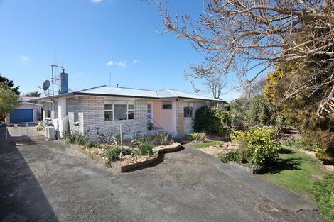 Photo of property in 17 Pirinoa Street, Feilding, 4702