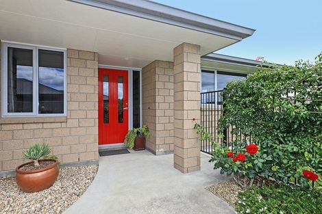 Photo of property in 10 Lochhead Street, Mahora, Hastings, 4120