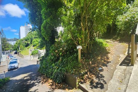 Photo of property in 10 Maurice Terrace, Te Aro, Wellington, 6011