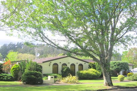 Photo of property in 29 Roycroft Street, Waihi, 3610