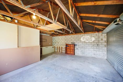 Photo of property in 9 Shamrock Street, Takaro, Palmerston North, 4412