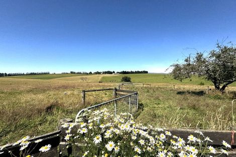 Photo of property in 86 Totara Island Road, Clifton, Balclutha, 9273