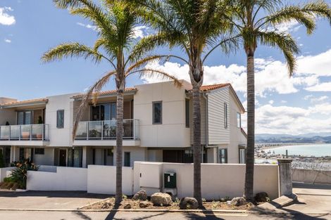 Photo of property in Northridge Apartments Stage Z, 12/22 Hospital Terrace, Hospital Hill, Napier, 4110