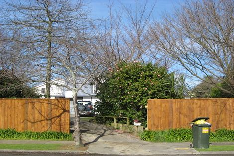 Photo of property in 8 Guy Avenue, Levin, 5510