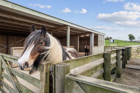 Photo of property in 1375 Carrington Road, Hurworth, New Plymouth, 4371