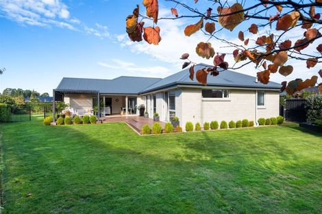 Photo of property in 149 Te Korari Street, Marshland, Christchurch, 8083