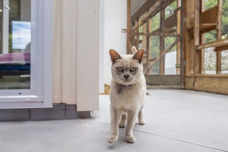 Photo of property in 222 Main Road South, Raumati South, Paraparaumu, 5032