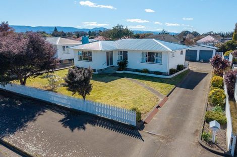 Photo of property in 11 Neptune Street, Dannevirke, 4930