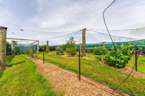 Photo of property in 8 Arowhenua Station Road, Kerrytown, Timaru, 7973