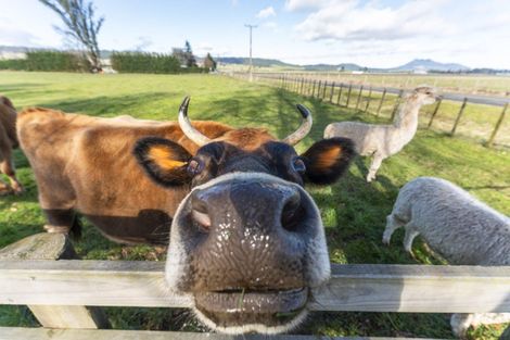 Photo of property in 57 Tiverton Downs Road, Broadlands, Reporoa, 3081