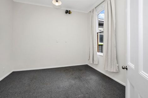 Photo of property in 46 Sussex Street, Mount Cook, Wellington, 6021