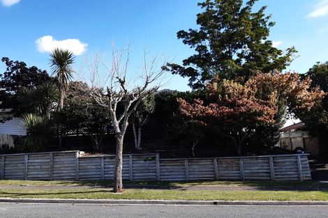 Photo of property in 30 Lansdowne Crescent, Glenview, Hamilton, 3206