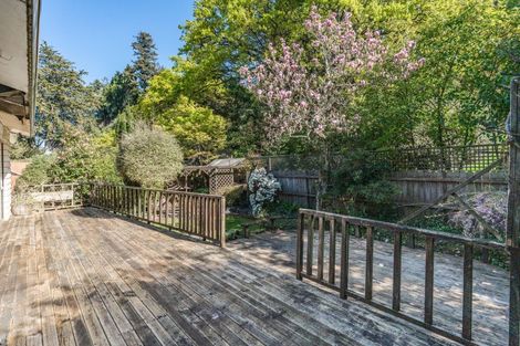 Photo of property in 361 York Place, Dunedin Central, Dunedin, 9016