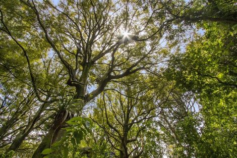 Photo of property in 166b Heard Road, Waihi, 3681