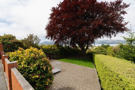 Photo of property in 28 Tweed Street, Roslyn, Dunedin, 9010