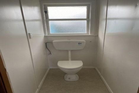 Photo of property in 16 Winchester Street, Levin, 5510