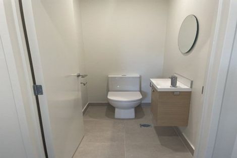 Photo of property in 17 Whimbrel Road, Flat Bush, Auckland, 2019