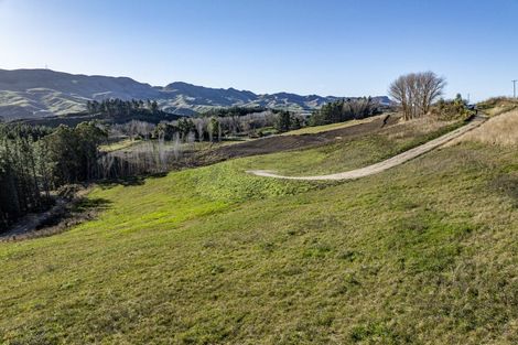 Photo of property in 1000 Kahuranaki Road, Kahuranaki, 4295