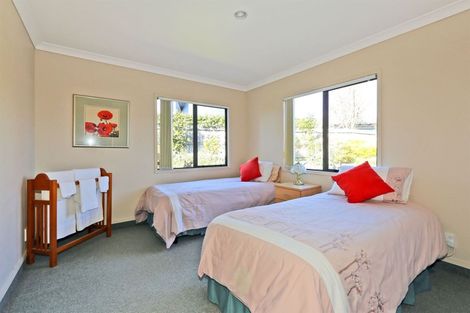 Photo of property in 3 Phoenix Place, Havelock North, 4130
