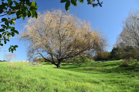 Photo of property in 229 Pahi Road, Pahi, Paparoa, 0571