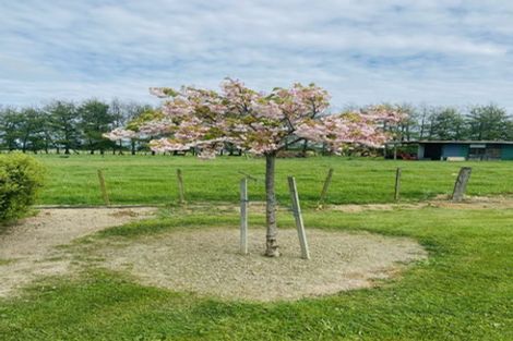 Photo of property in 35 Sears Road, Meeanee, Napier, 4183