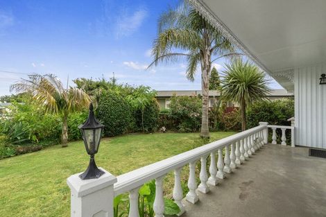 Photo of property in 91 Fitzroy Avenue, Fitzroy, Hamilton, 3206