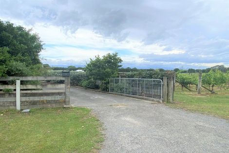 Photo of property in 159 Regent Street, Martinborough, 5711