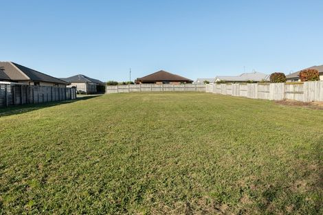 Photo of property in 254 Hollister Lane, Ohauiti, Tauranga, 3112