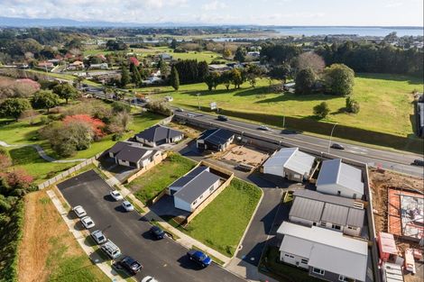 Photo of property in 44 Parau Drive, Bethlehem, Tauranga, 3110