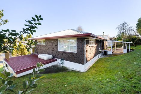 Photo of property in 434 Elizabeth Avenue, Te Awamutu, 3800
